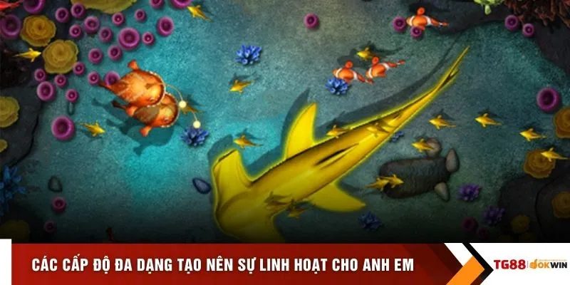 Các cấp độ đa dạng tạo nên sự linh hoạt cho anh em
