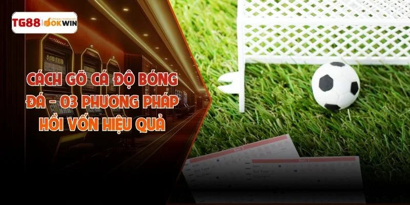 Cách Gỡ Cá Độ Bóng Đá - 03 Phương Pháp Hồi Vốn Hiệu Quả